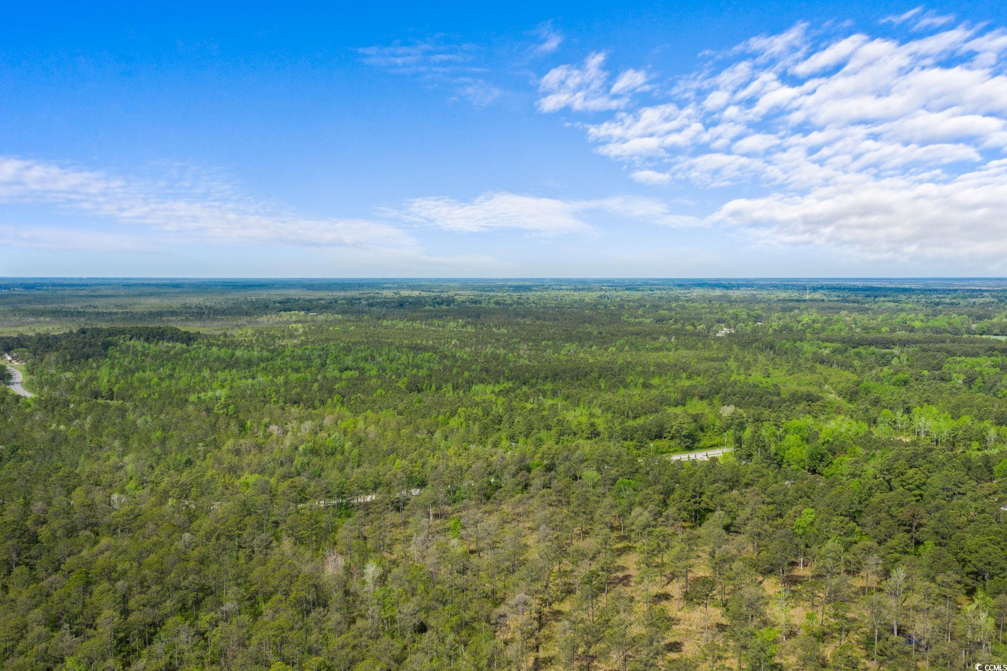 Tbd Water Tower Road Longs, SC 29568 - Photo 8 of 21