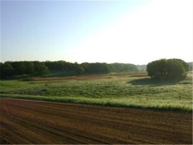 0 Rabbit Road Ashby, MN 56309 - Photo 1 of 2 Gallery Image 1
