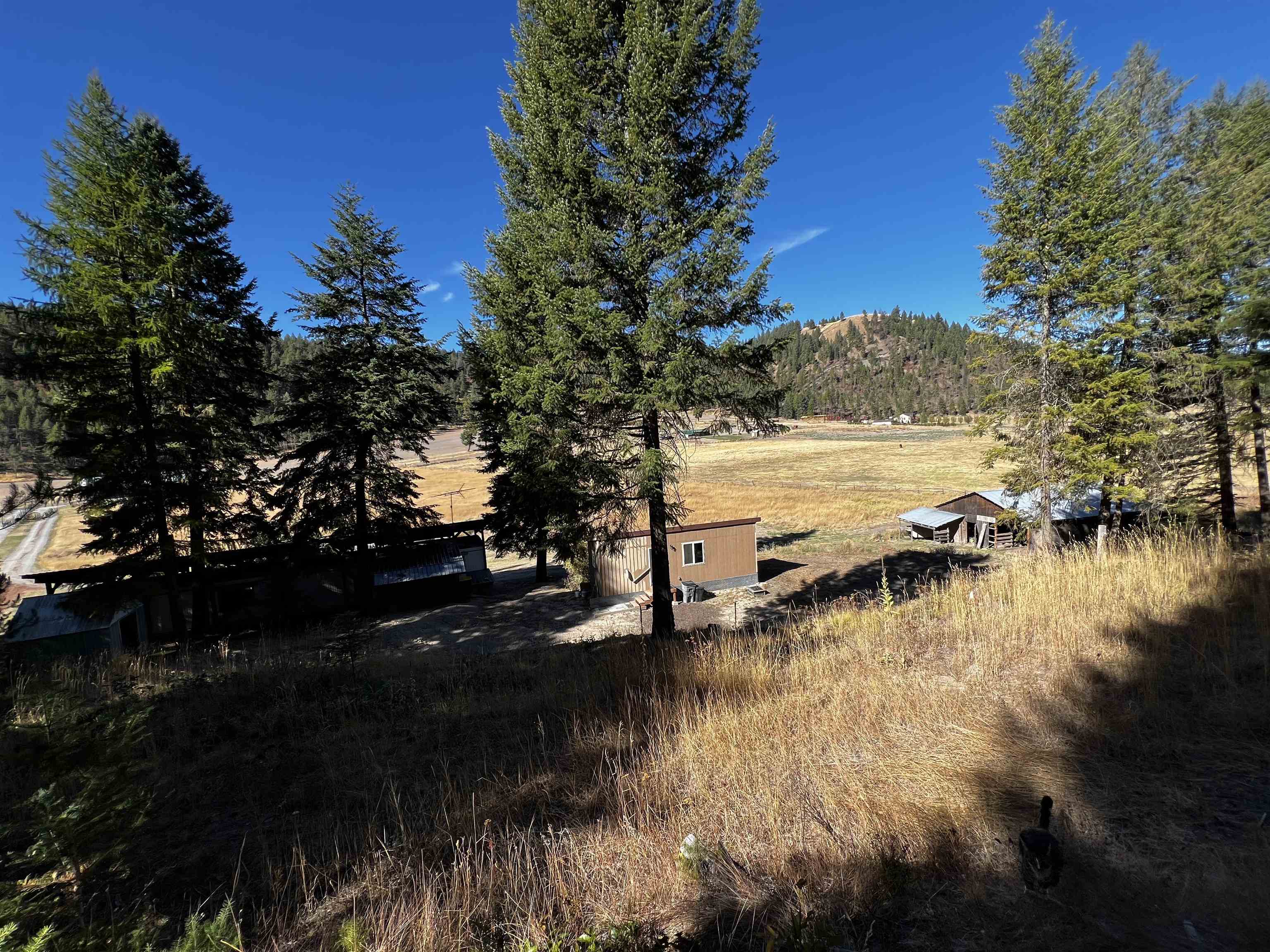 1035 Haller Creek Road Colville, WA 99114 - Photo 3 of 17