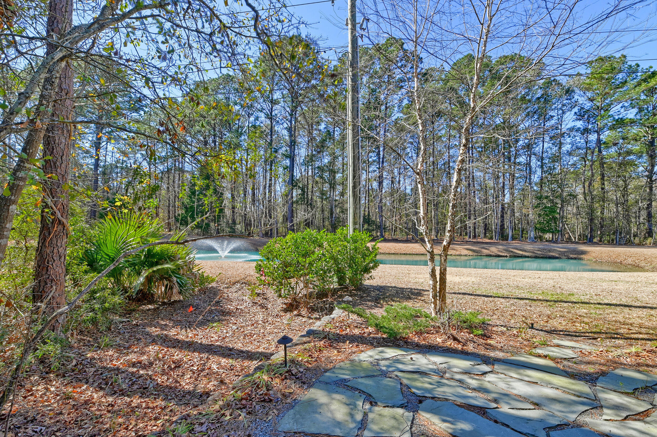 1807 Chauncy's Court Mount Pleasant, SC 29466 - Photo 10 of 54 DSC_2552-HDR(5)