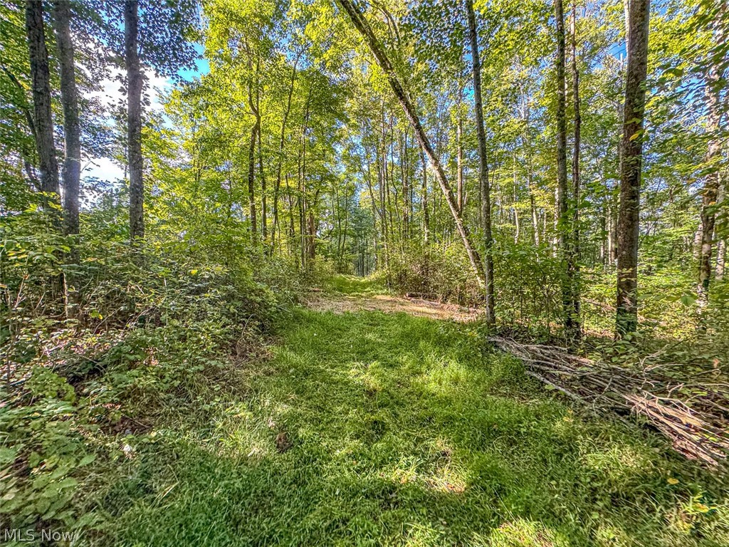 0 Southeast Kleski Road Tippecanoe, OH 44699 - Photo 19 of 33 Gallery Image 19