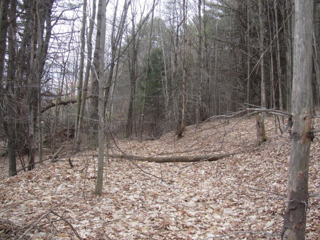 411 English Road Royalton, VT 05068 - Photo 2 of 2