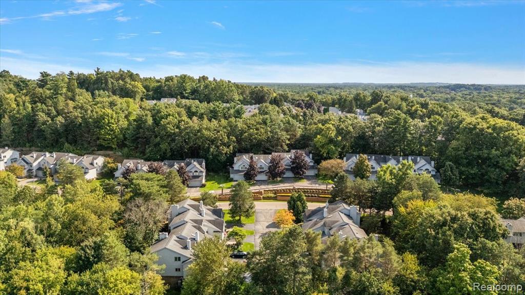 6583 Ridgeview Drive Clarkston, MI 48346 - Photo 61 of 65