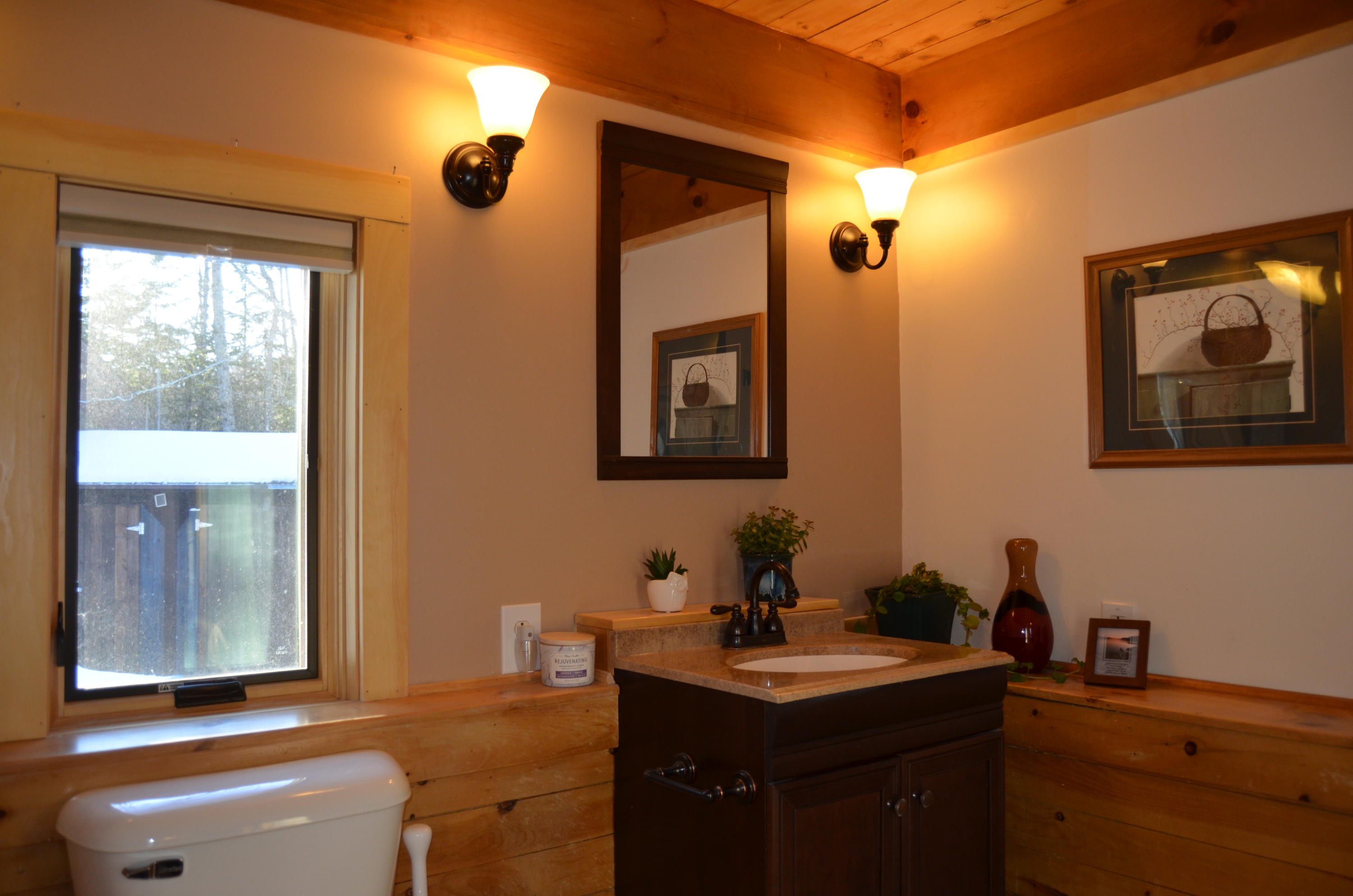 695 Bald Mountain Road Dedham, ME 04429 - Photo 11 of 29 DSC_2466