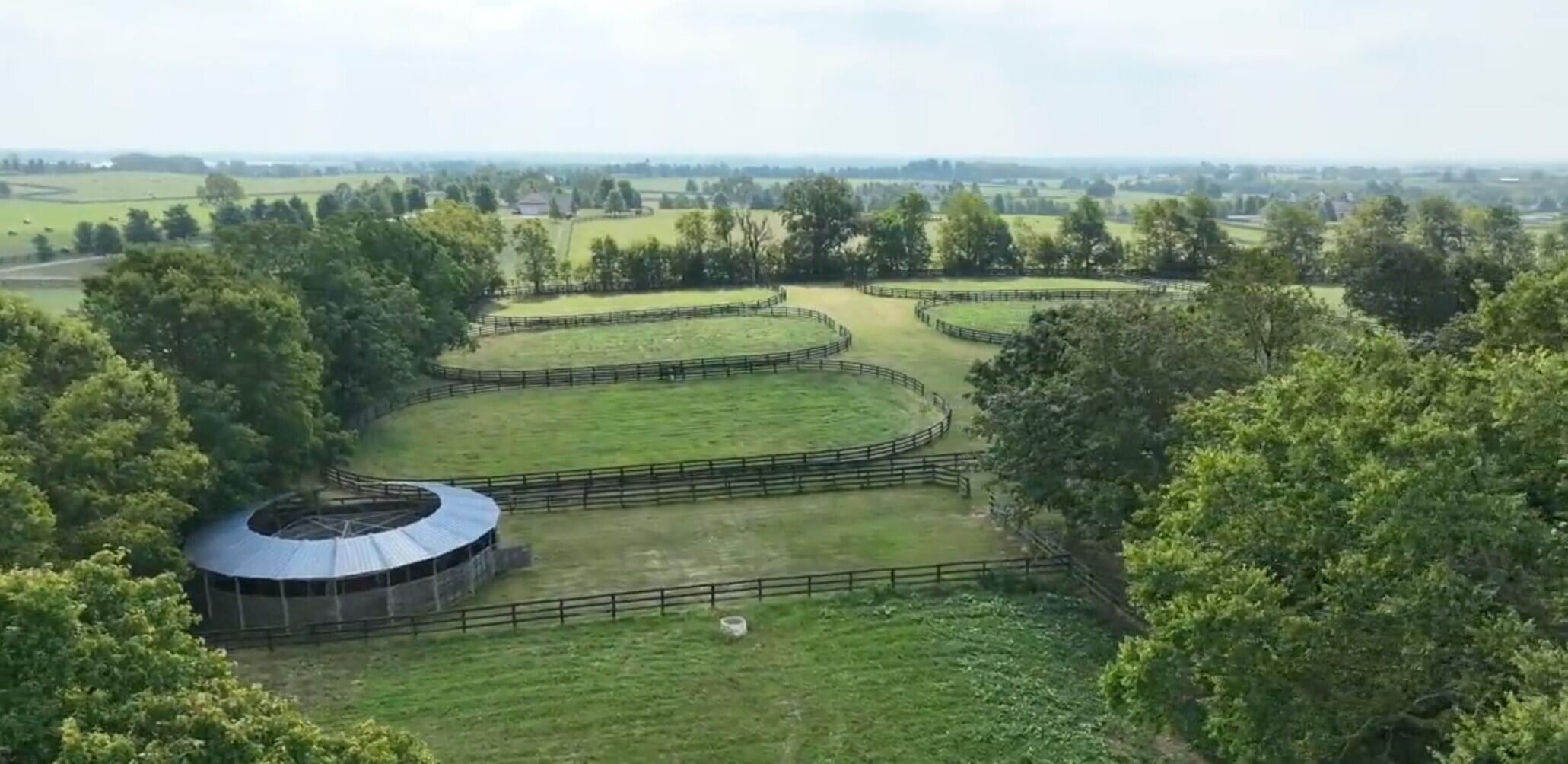 710 Jackstown Road Paris, KY 40361 - Photo 54 of 61 4