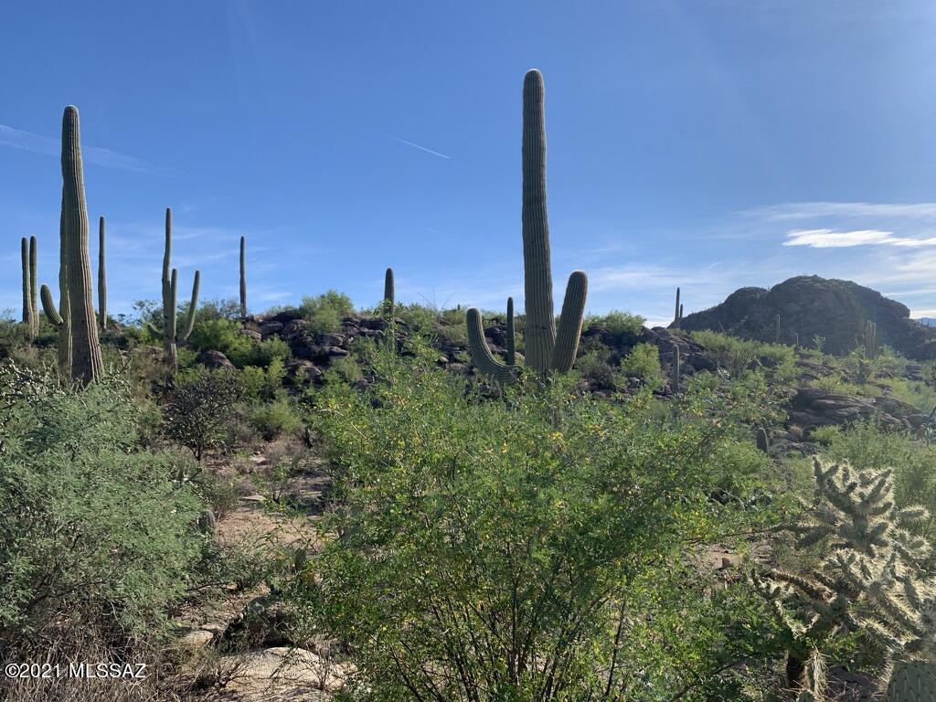 North Sacred Canyon Road Marana, AZ 85658 - Photo 16 of 16