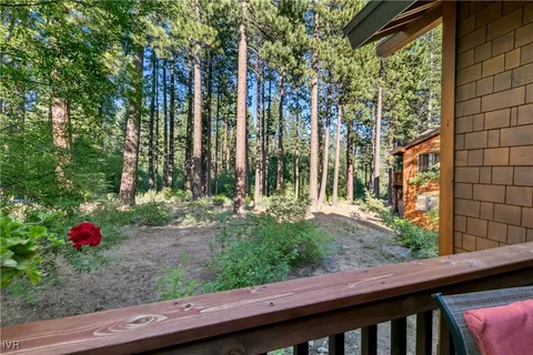 a view of a backyard with potted plants and large tree