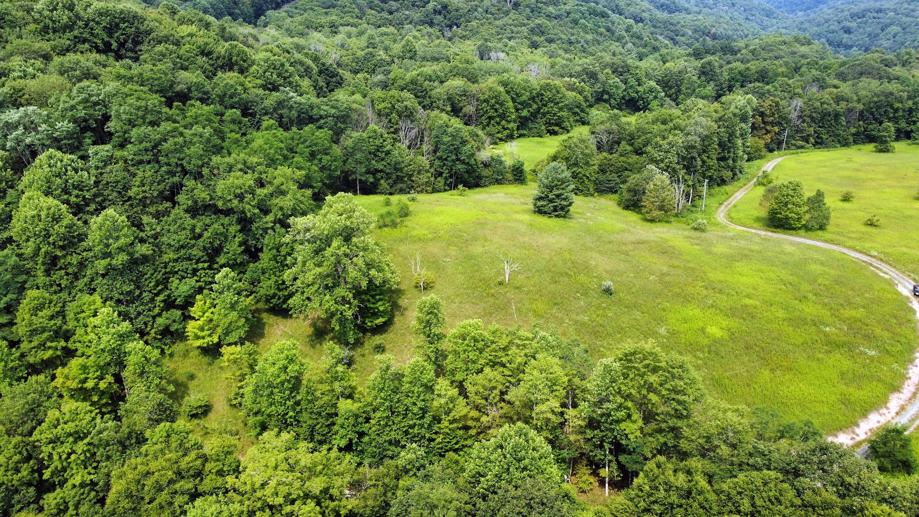 Lot D Dry Branch Road Slatyfork, WV 26291 - Photo 2 of 7 Gallery Image 2