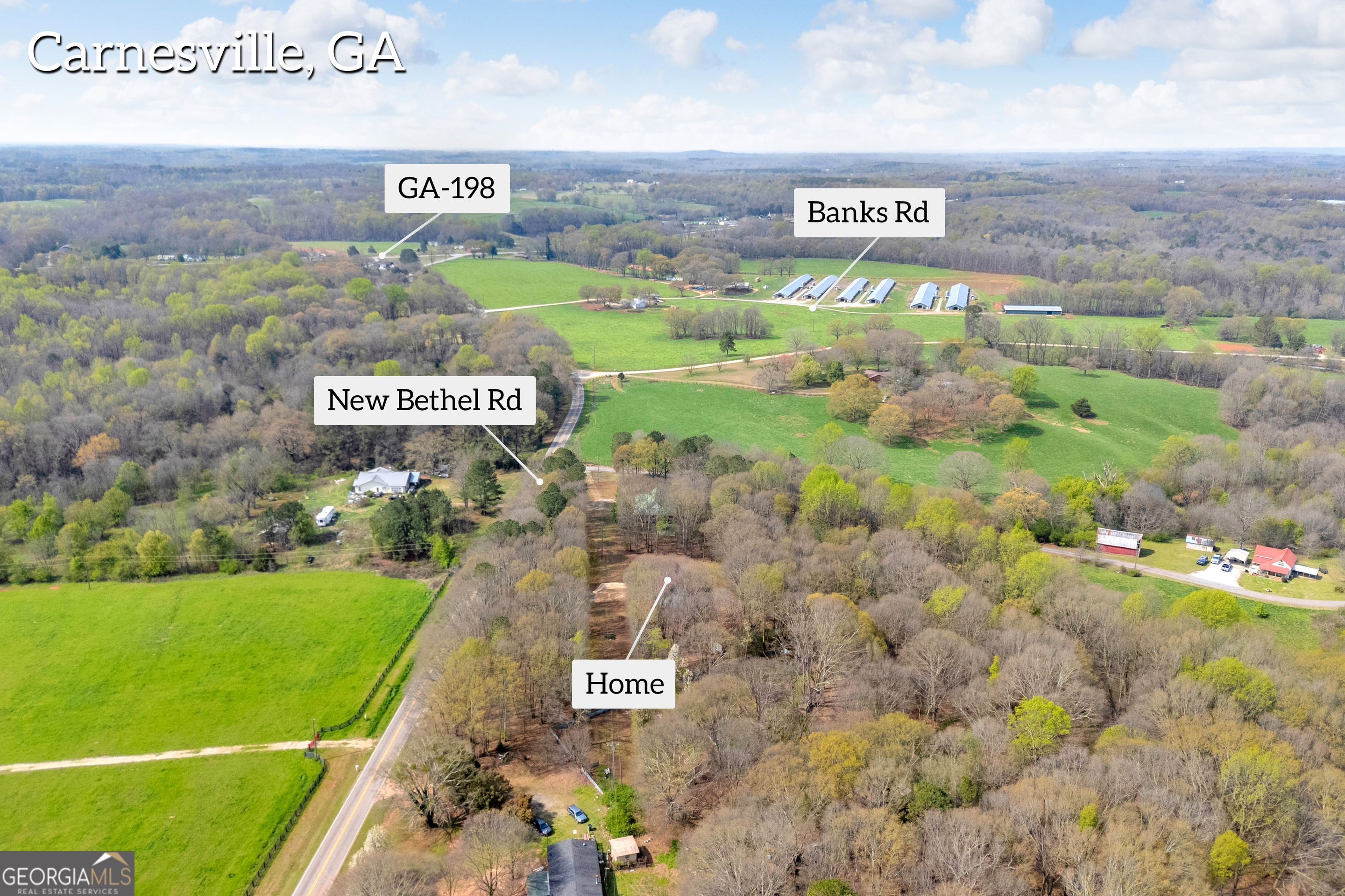 1674 New Bethel Road Carnesville, GA 30521 - Photo 53 of 67