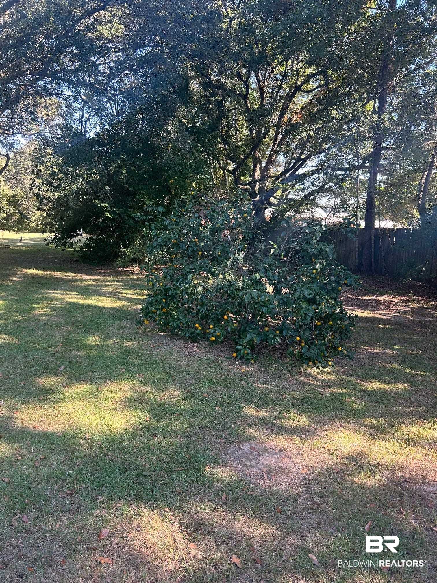 181 E Highway Fairhope, AL 36532 - Photo 6 of 6 View of yard