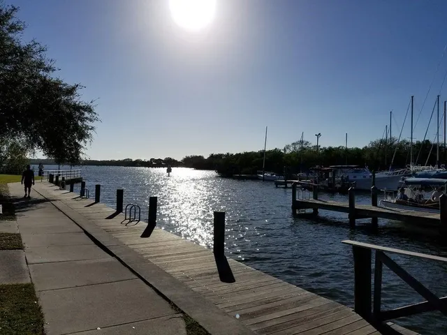 a garden with plants and lake view