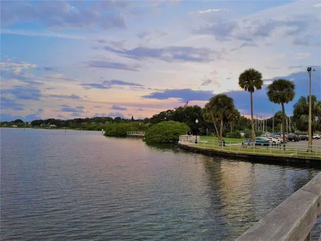 a view of a yard with trees