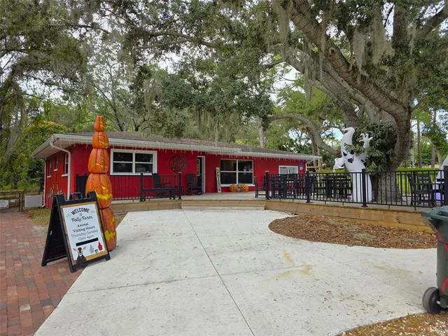 a view of a big yard with plants and large trees