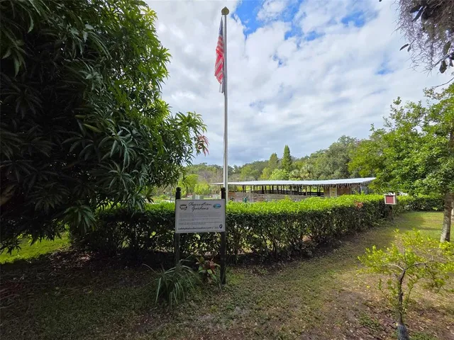 a park view with a tree
