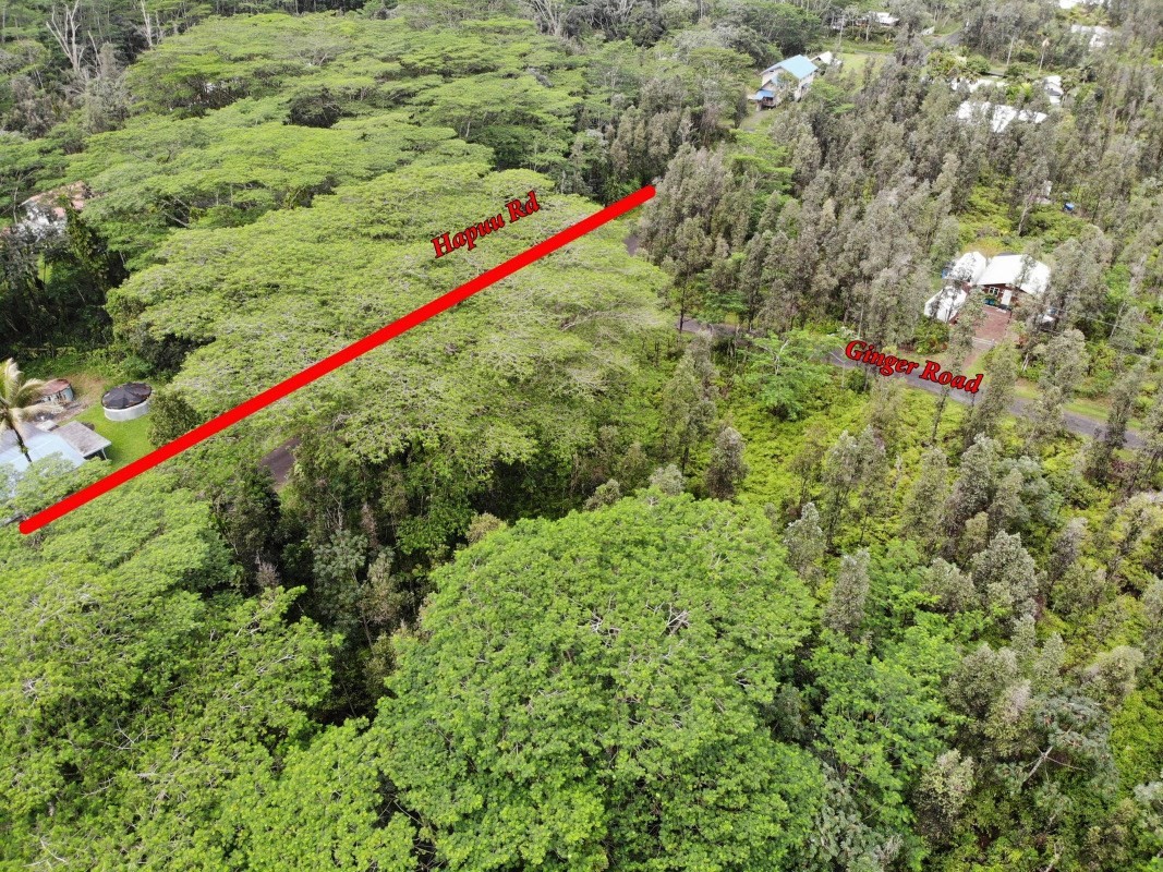 126 Hapuu Road Pahoa, HI 96778 - Photo 8 of 28 Gallery Image 8