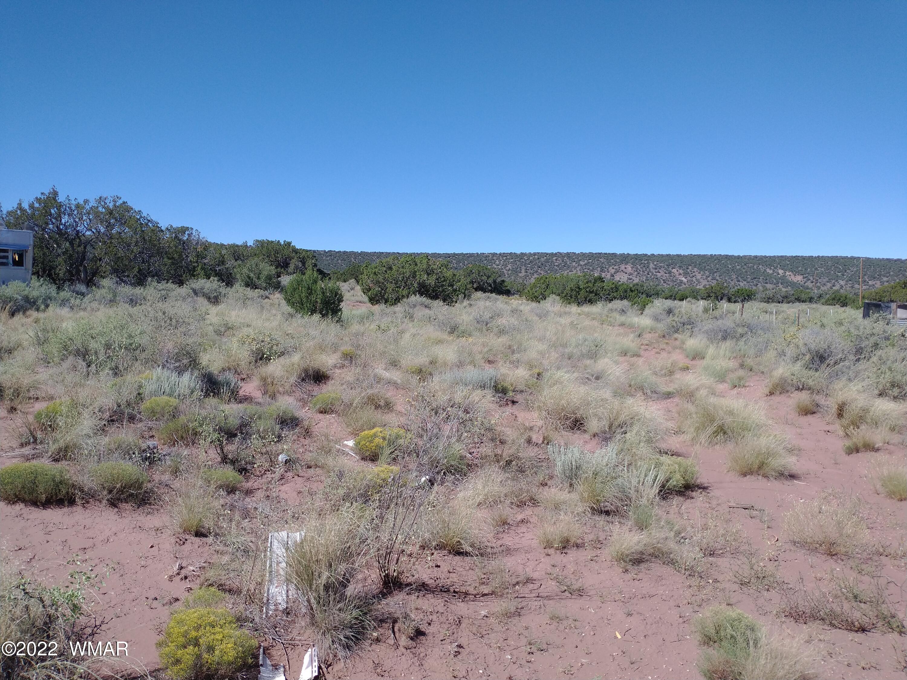 4056 Sorrel Road Snowflake, AZ 85937 - Photo 1 of 16 a view of a field with trees in background