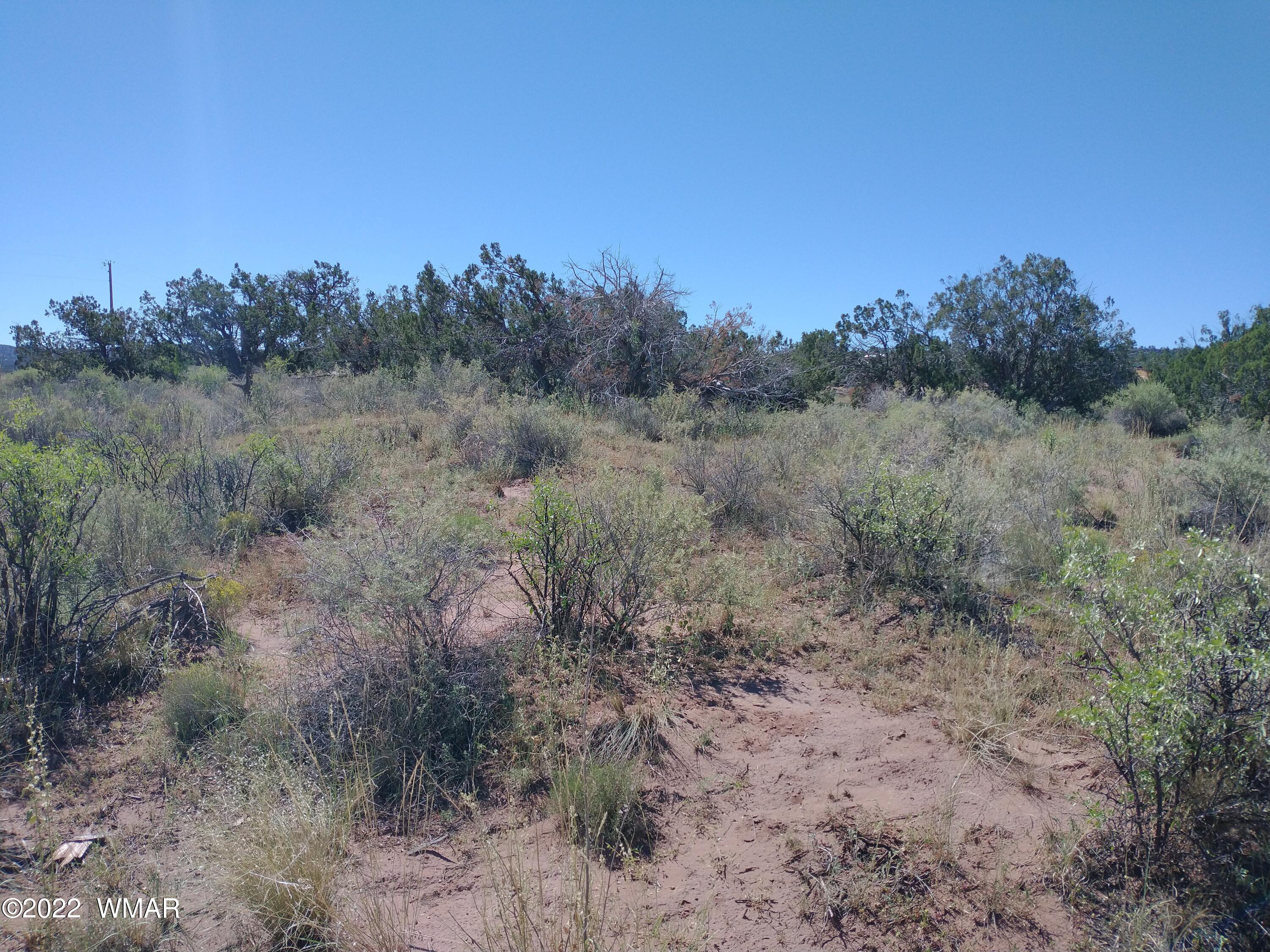 4056 Sorrel Road Snowflake, AZ 85937 - Photo 2 of 16 a view of a dry yard with trees in the background
