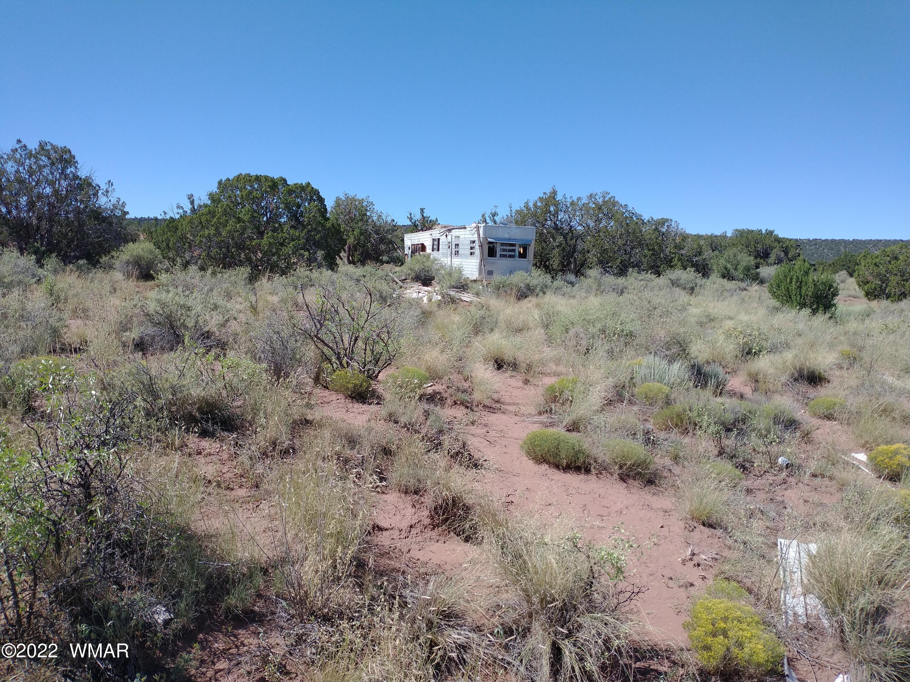 4056 Sorrel Road Snowflake, AZ 85937 - Photo 4 of 16 a view of a dry yard with green space