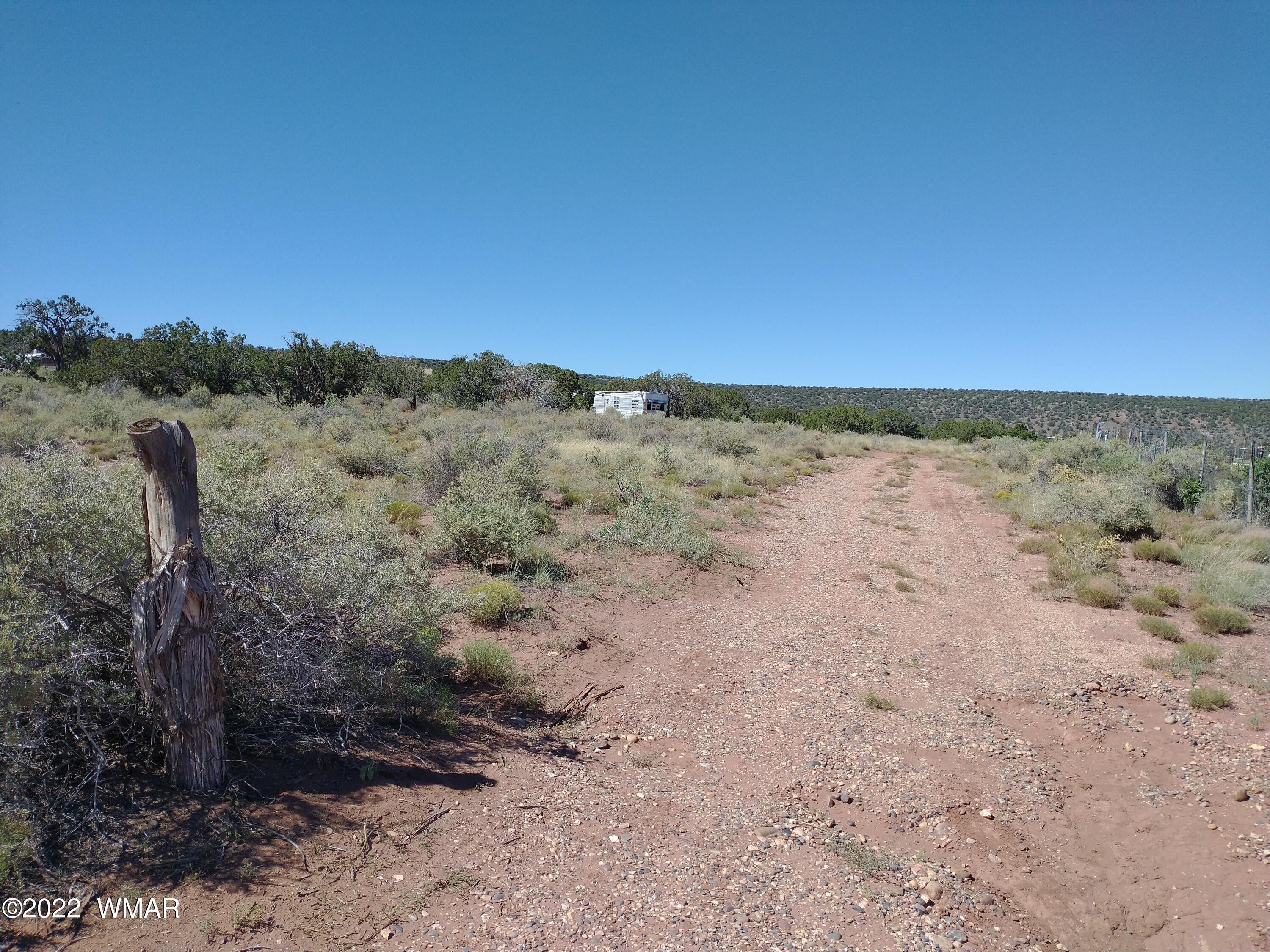 4056 Sorrel Road Snowflake, AZ 85937 - Photo 6 of 16 a view of a dry yard with trees in the background