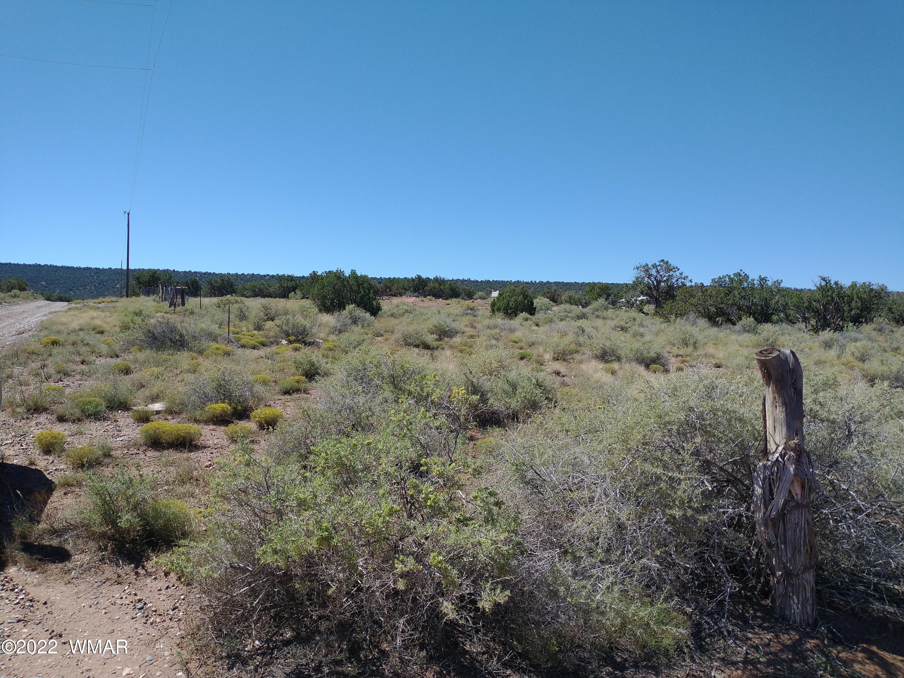 4056 Sorrel Road Snowflake, AZ 85937 - Photo 7 of 16 a view of a field