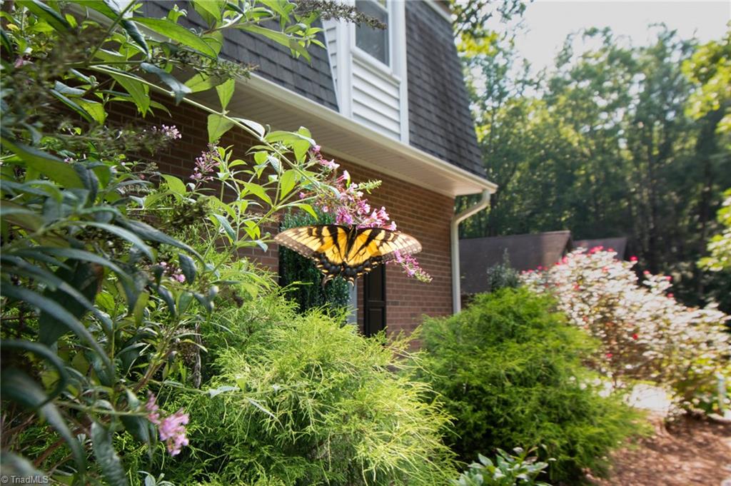 5808 Oakside Road Winston-Salem, NC 27104 - Photo 29 of 29 Butterfly bush out front has several butterflies all the time :) Come make this beautiful, serene home your own :)