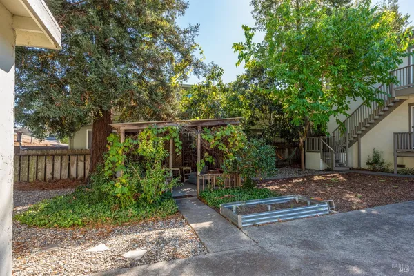 a view of a bench in a yard with wooden fence