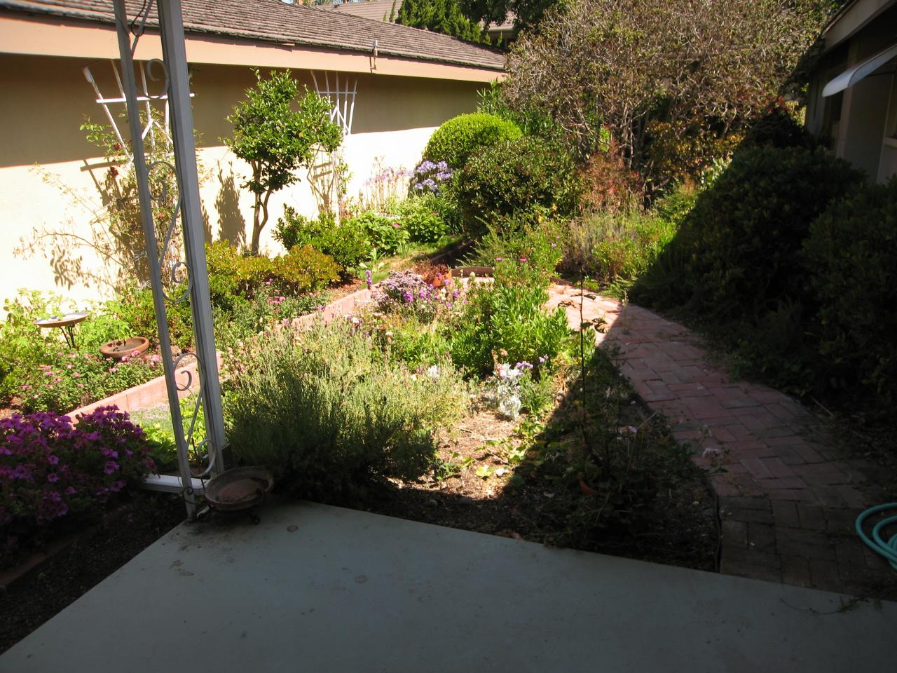 5792 Encina Road, Unit 3 Goleta, CA 93117 - Photo 3 of 15 Backyard 1