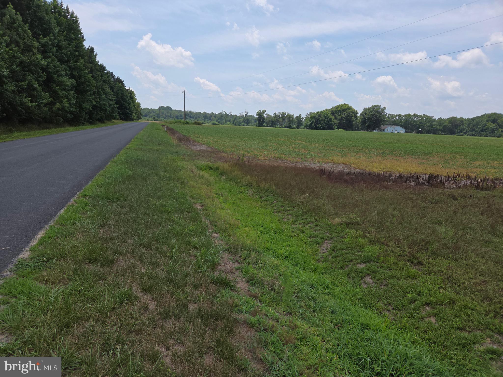 10045 Timmonstown Road Berlin, MD 21811 - Photo 7 of 16