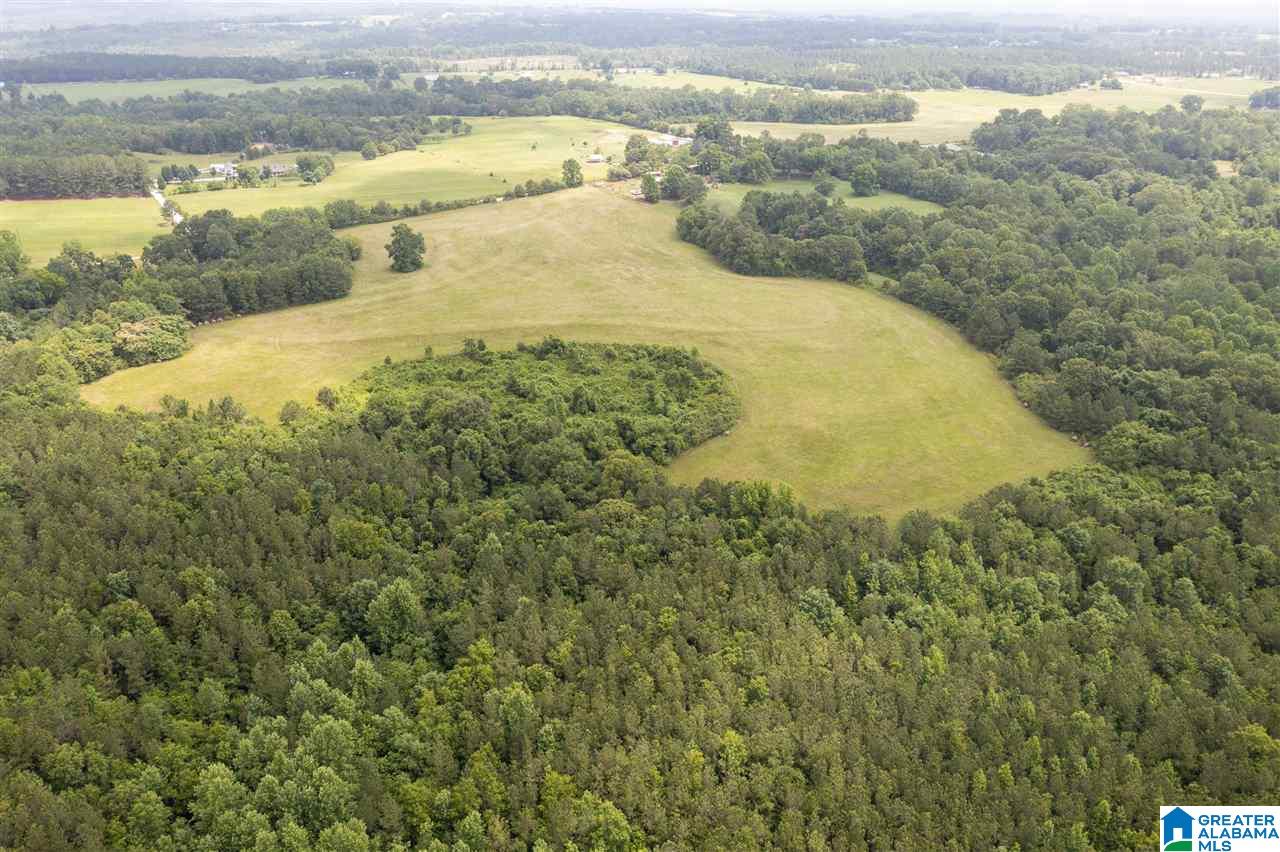 0 County Road 368 Verbena, AL 36091 - Photo 9 of 13