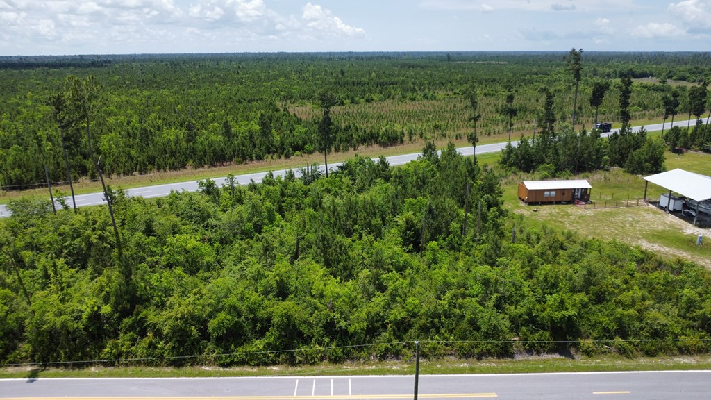 Lot 6 Borders Road Wewahitchka, FL 32465 - Photo 8 of 9
