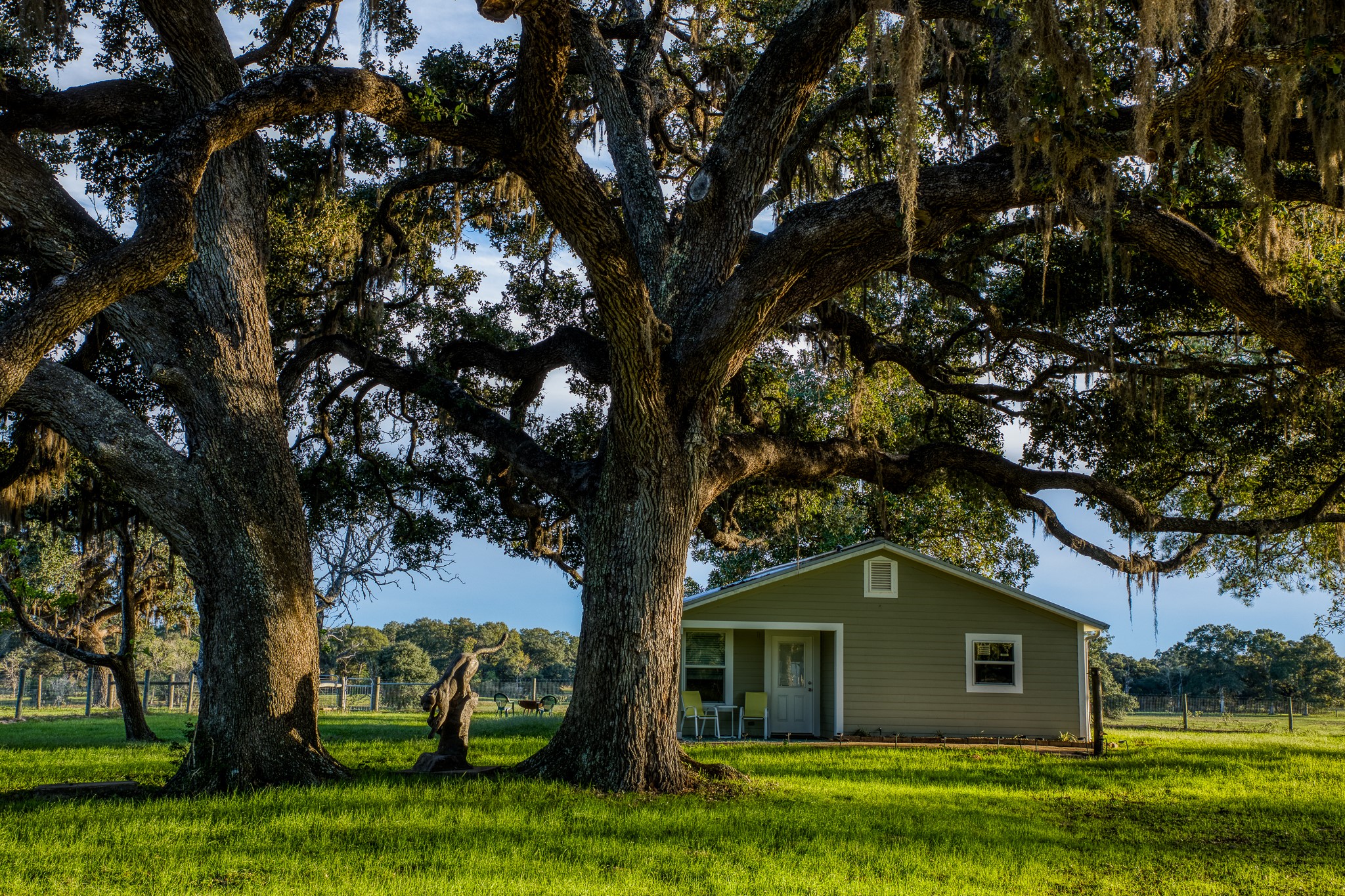 1224 Haines Road Sheridan, TX 77475 - Photo 33 of 49 Guest House