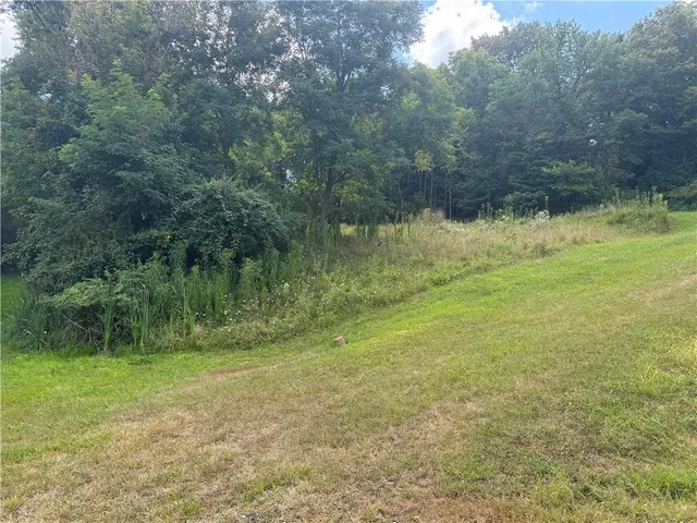 a view of a yard with a tree