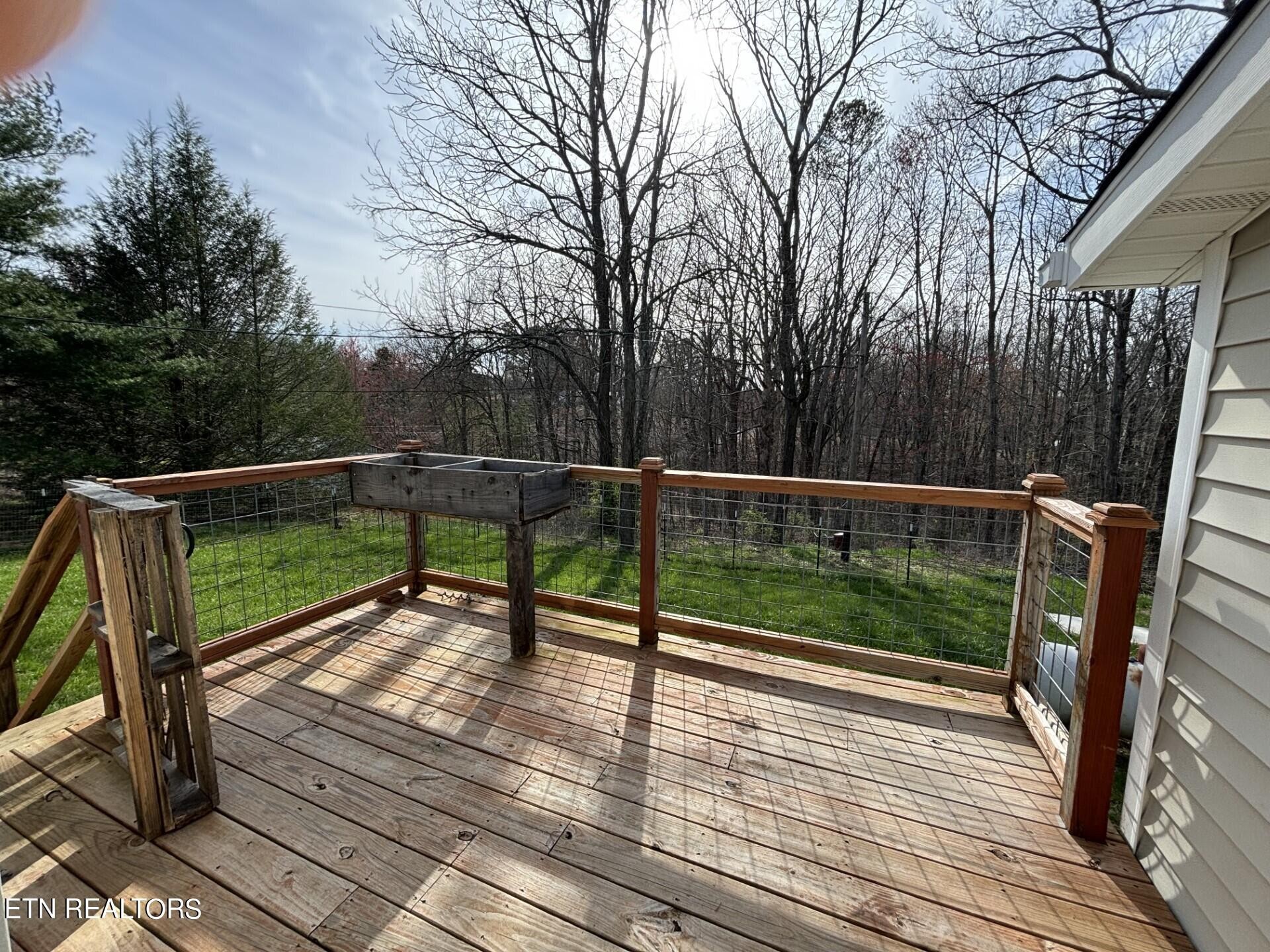 203 Billy Ridge Road Jamestown, TN 38556 - Photo 24 of 33 Gallery Image 24