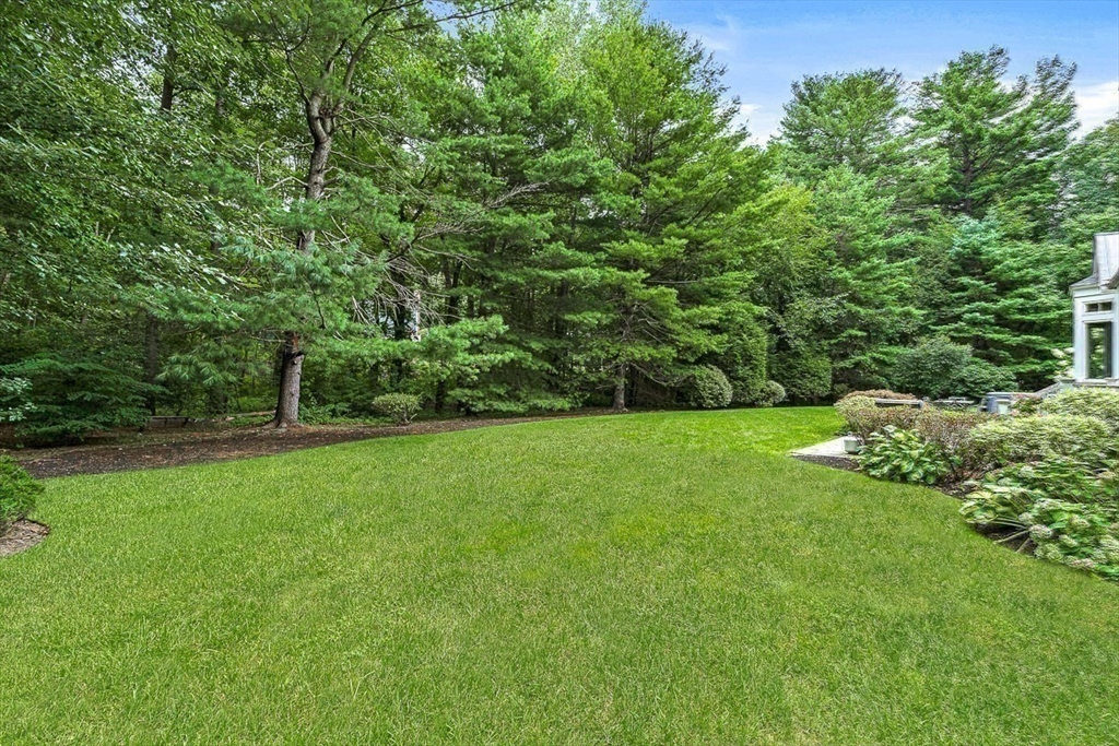 56 Lantern Lane Needham, MA 02492 - Photo 37 of 42 a green field with lots of bushes
