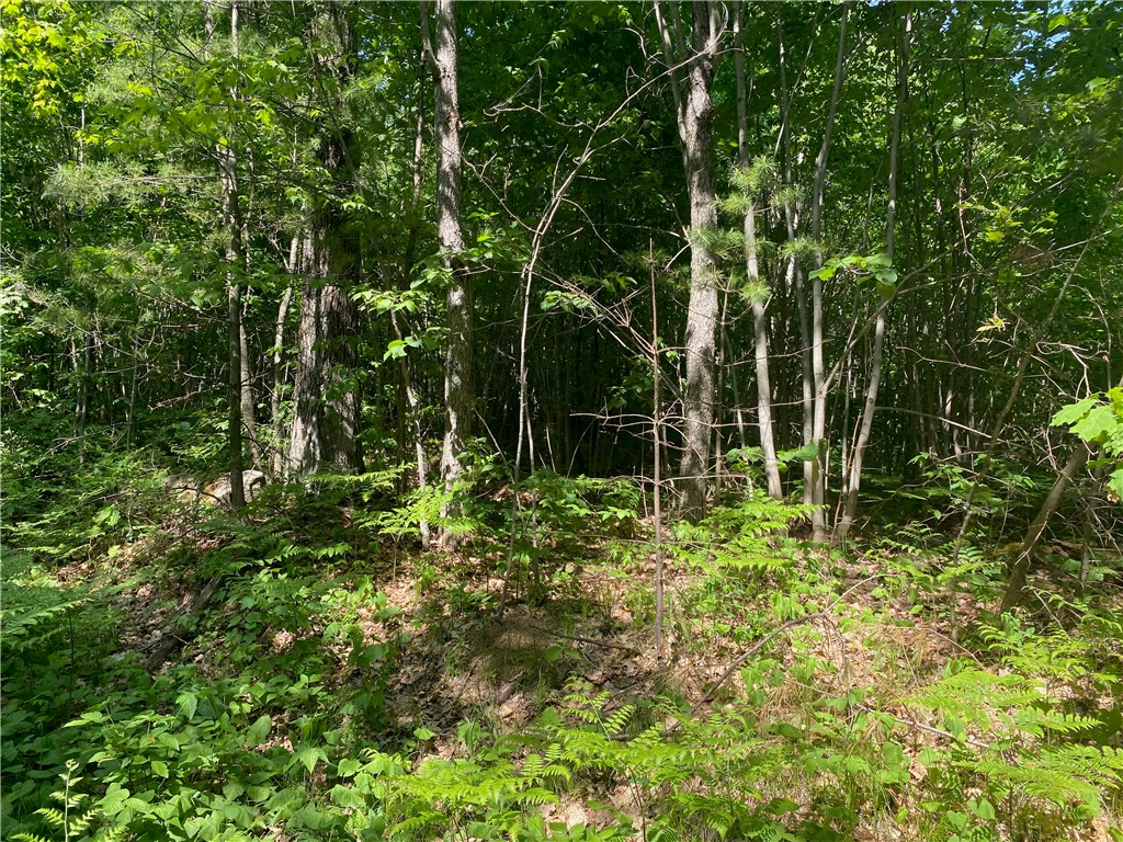 Lot 7 Secluded Trail Hayward, WI 54843 - Photo 10 of 41