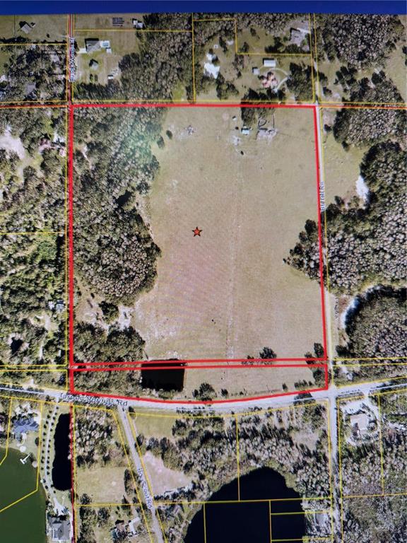 11819 Tarpon Springs Road Odessa, FL 33556 - Photo 2 of 7