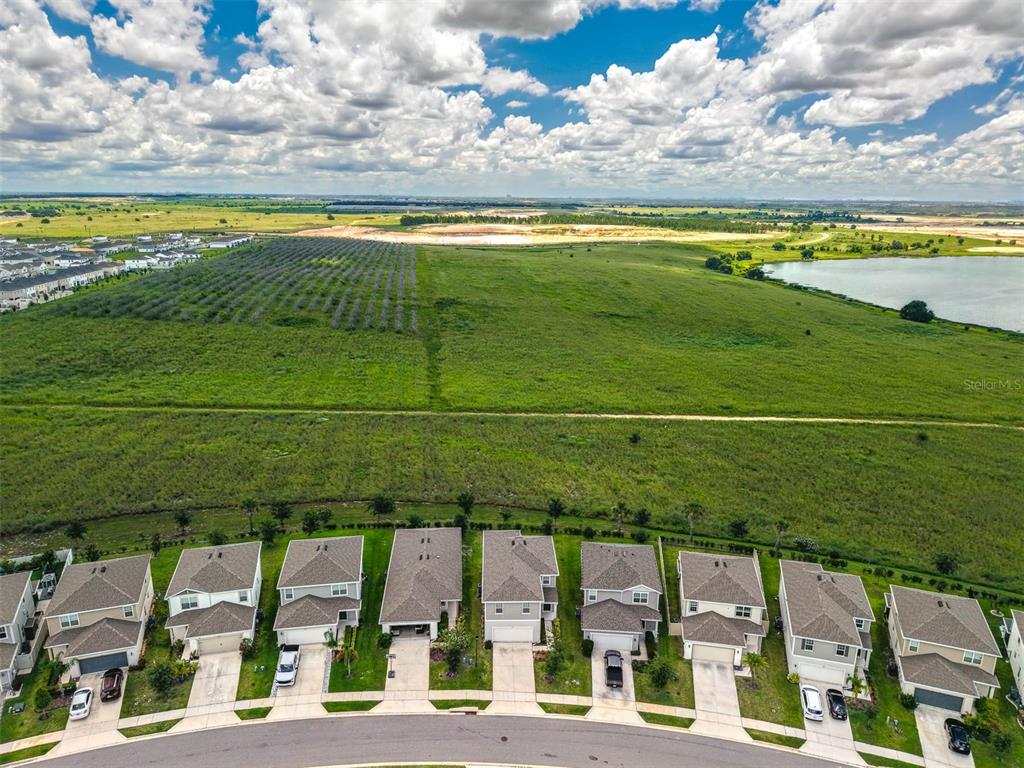 7367 Catania Loop Clermont, FL 34714 - Photo 49 of 58