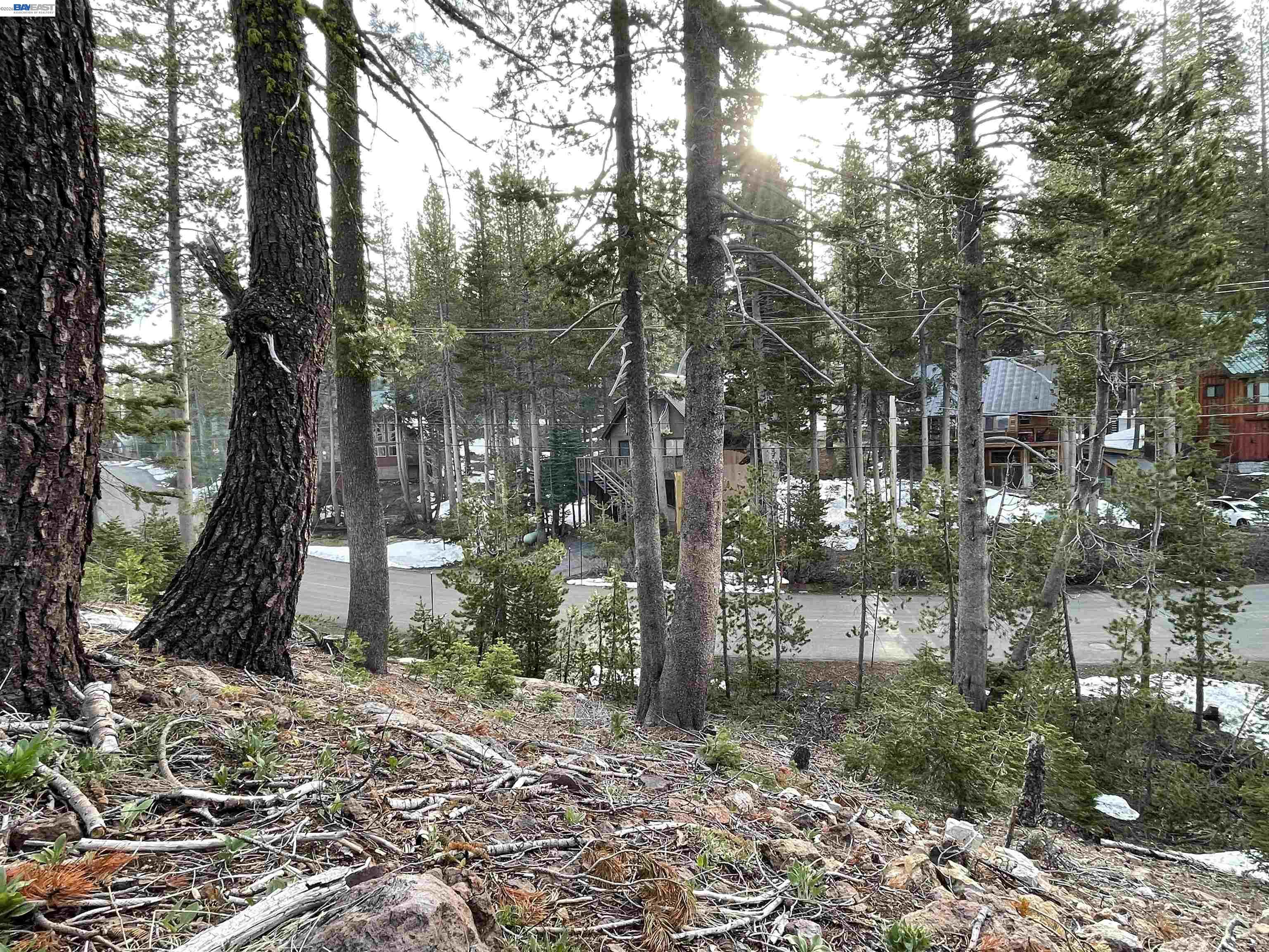 7217 Palisade Road Soda Springs, CA 95728 - Photo 4 of 11