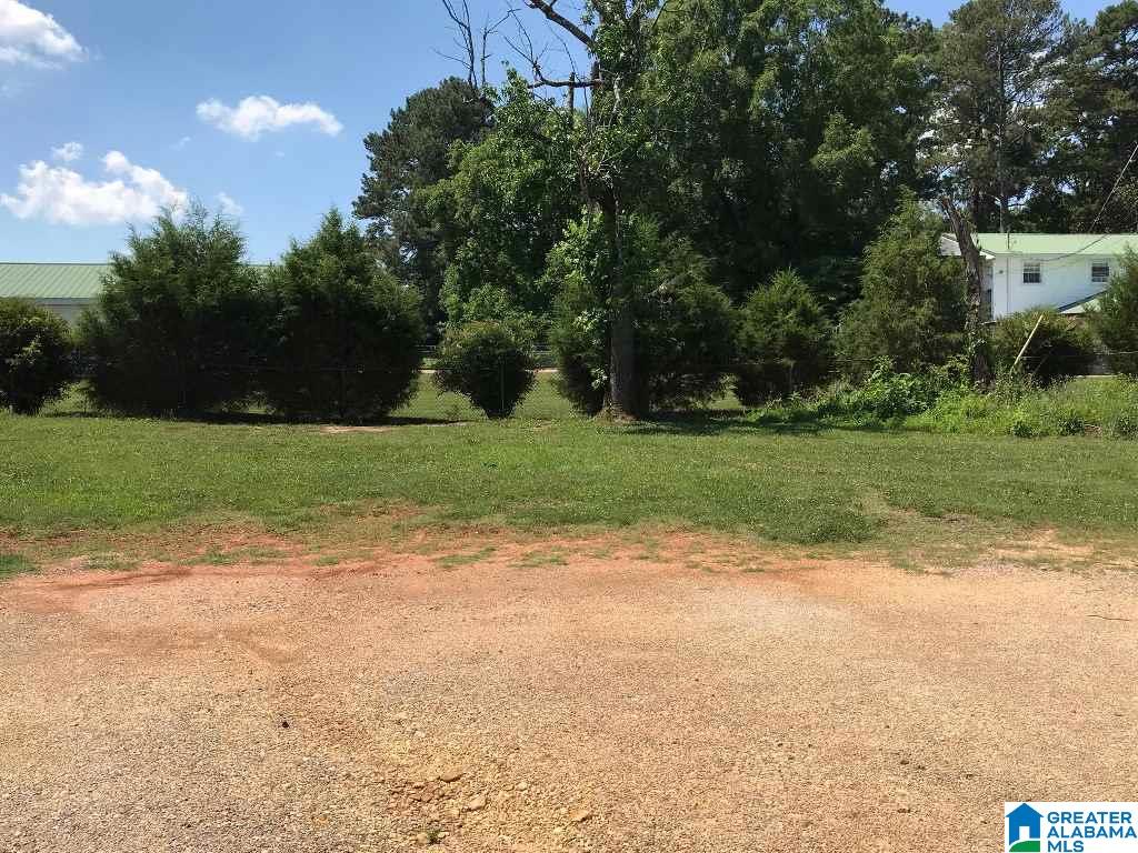 984 Beck Road Eastaboga, AL 36260 - Photo 26 of 33