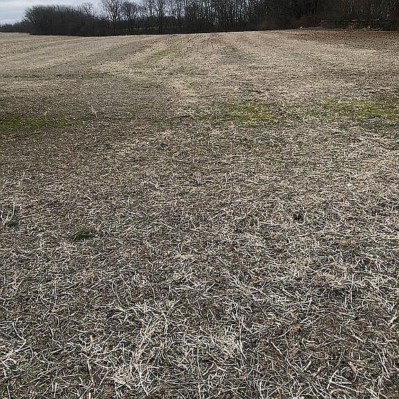 0 Ringgold Southern Road Stoutsville, OH 43154 - Photo 3 of 8