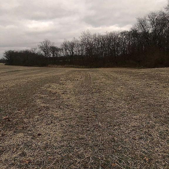 0 Ringgold Southern Road Stoutsville, OH 43154 - Photo 5 of 8