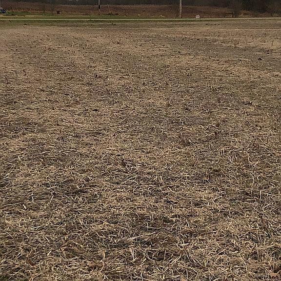 0 Ringgold Southern Road Stoutsville, OH 43154 - Photo 6 of 8