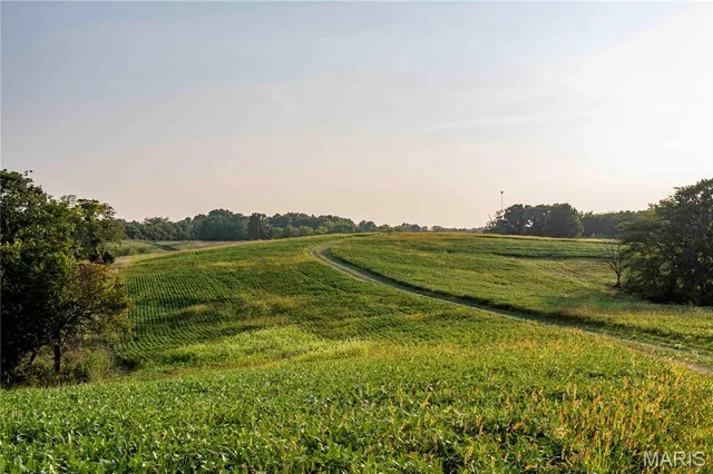 $1,149,400 | 0 Highway D - Tract 4 (82.1 /- Acres) Eolia Mo 63344, Eolia, MO 63344