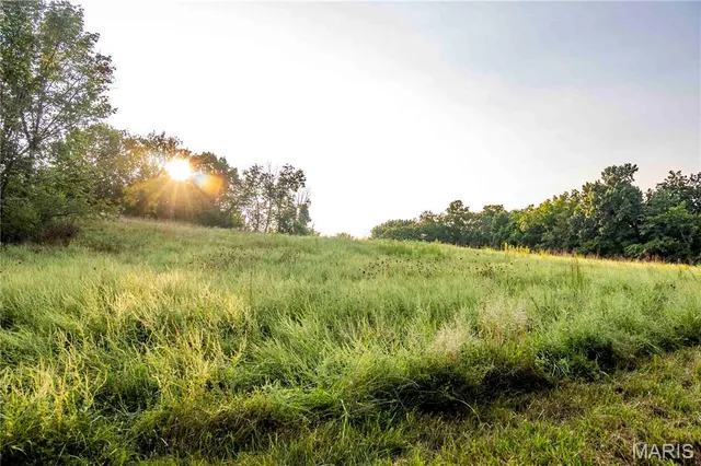 $1,149,400 | 0 Highway D - Tract 4 (82.1 /- Acres) Eolia Mo 63344, Eolia, MO 63344