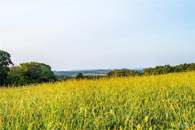 $1,149,400 | 0 Highway D - Tract 4 (82.1 /- Acres) Eolia Mo 63344, Eolia, MO 63344