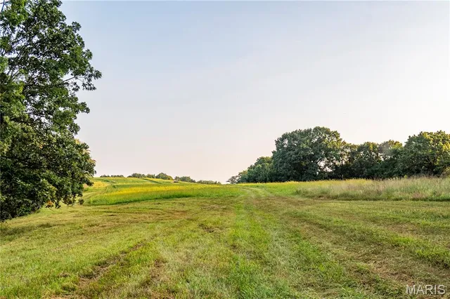 $1,149,400 | 0 Highway D - Tract 4 (82.1 /- Acres) Eolia Mo 63344, Eolia, MO 63344