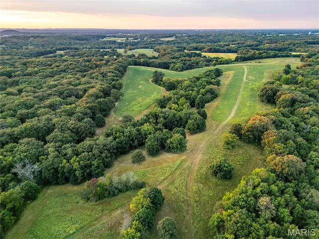 $1,149,400 | 0 Highway D - Tract 4 (82.1 /- Acres) Eolia Mo 63344, Eolia, MO 63344