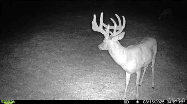 $1,149,400 | 0 Highway D - Tract 4 (82.1 /- Acres) Eolia Mo 63344, Eolia, MO 63344