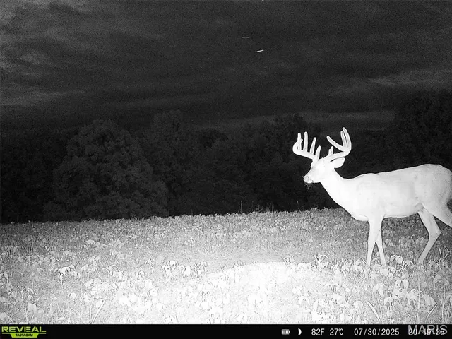 $1,149,400 | 0 Highway D - Tract 4 (82.1 /- Acres) Eolia Mo 63344, Eolia, MO 63344