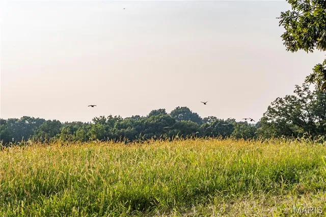 $1,149,400 | 0 Highway D - Tract 4 (82.1 /- Acres) Eolia Mo 63344, Eolia, MO 63344